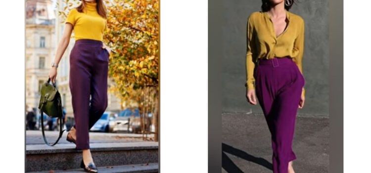 What Color Goes with Plum Pants