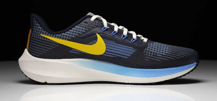  Nike Air Zoom Pegasus 39